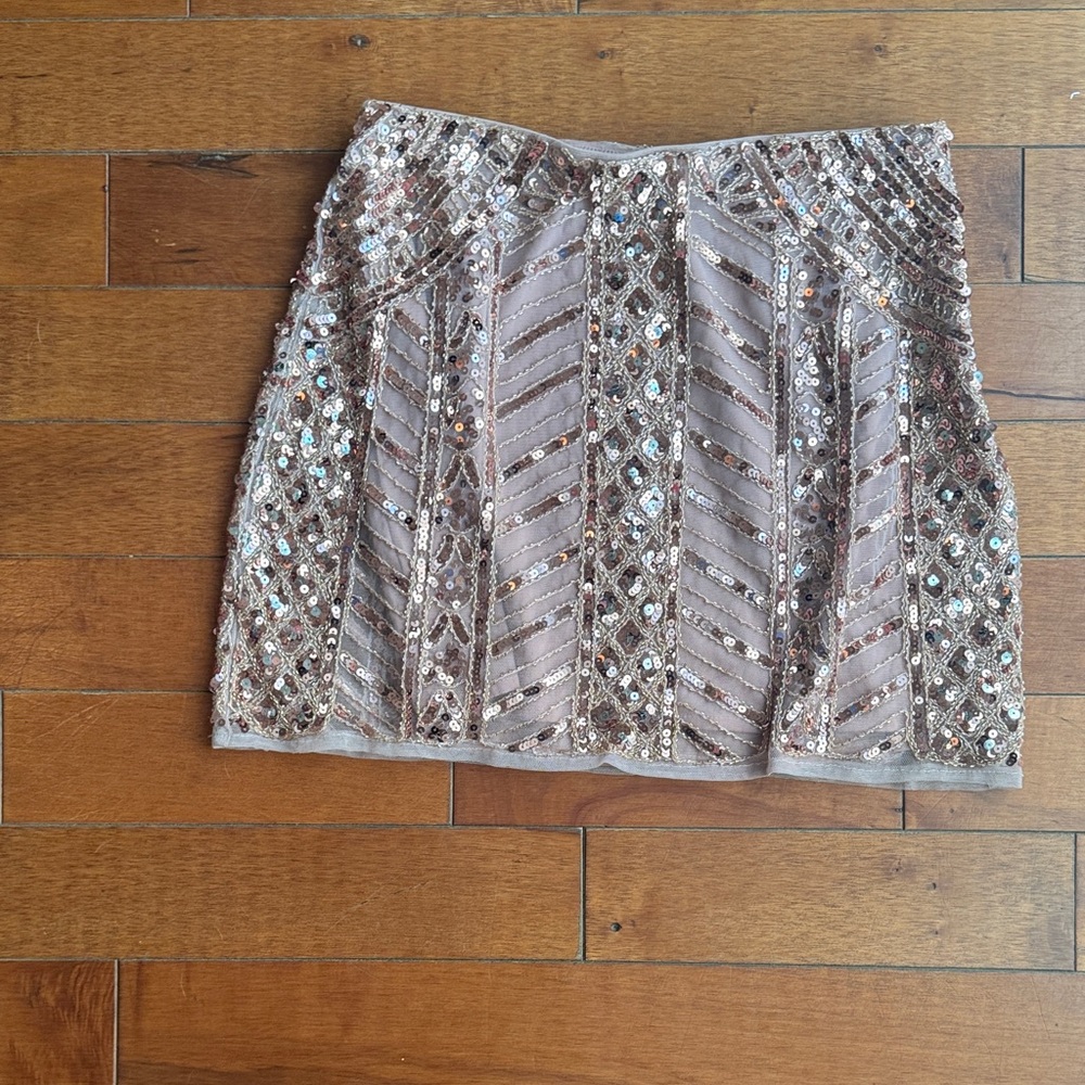 Blush Sequin Embellished Skirt